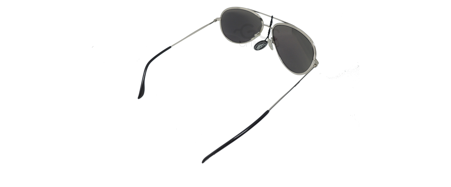 Police Sunglasses 8299M /  K076 Silver Green